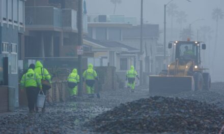 Global property insurers see ‘alarming’ losses as risk models lag, report says