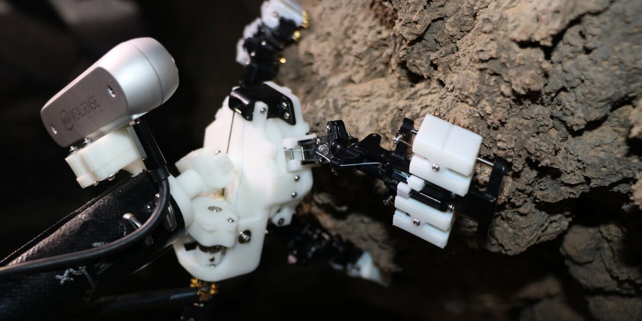Daddy long-legs-inspired robot could one day squirm through Martian caves