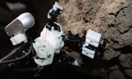 Daddy long-legs-inspired robot could one day squirm through Martian caves