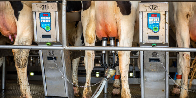 Fragments of bird flu virus genome found in pasteurized milk, FDA says