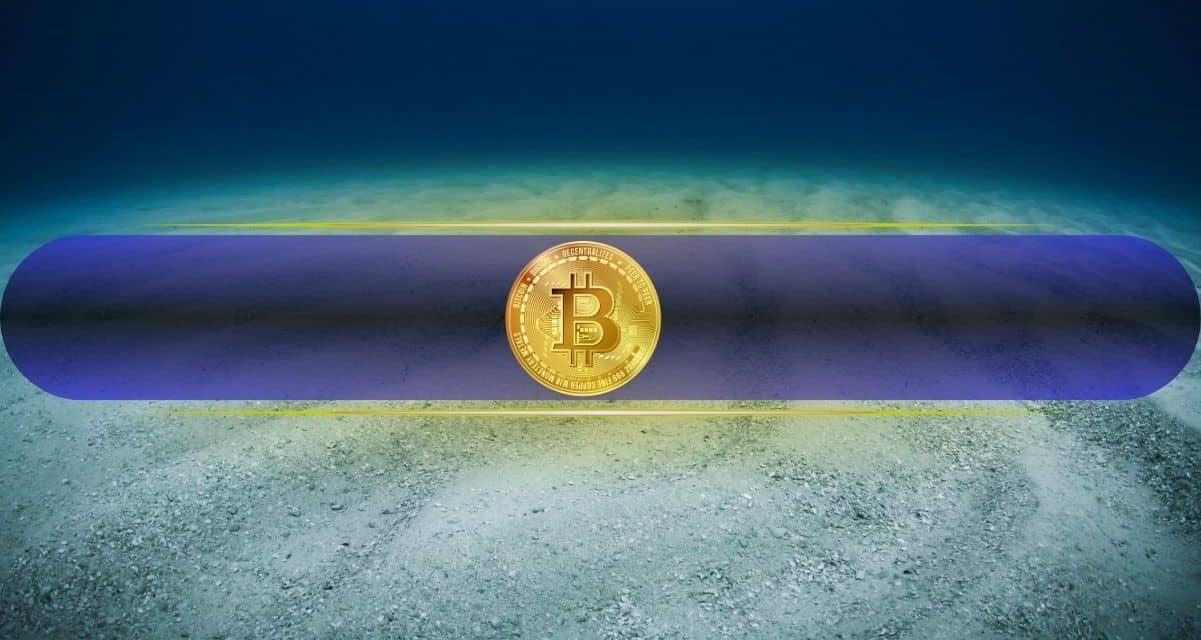 Did Bitcoin Bottom? This is How to Know