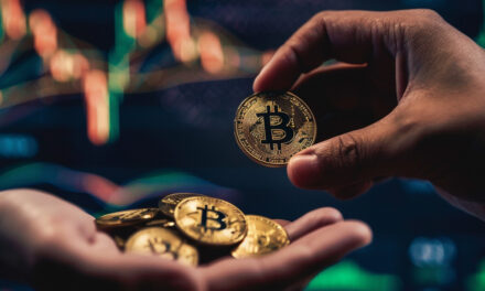 The importance of long-term and short-term holders for Bitcoin