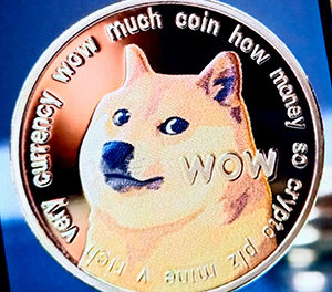 ‘Doge’ Meme Dog Dies: Kabosu Passes Away at 18