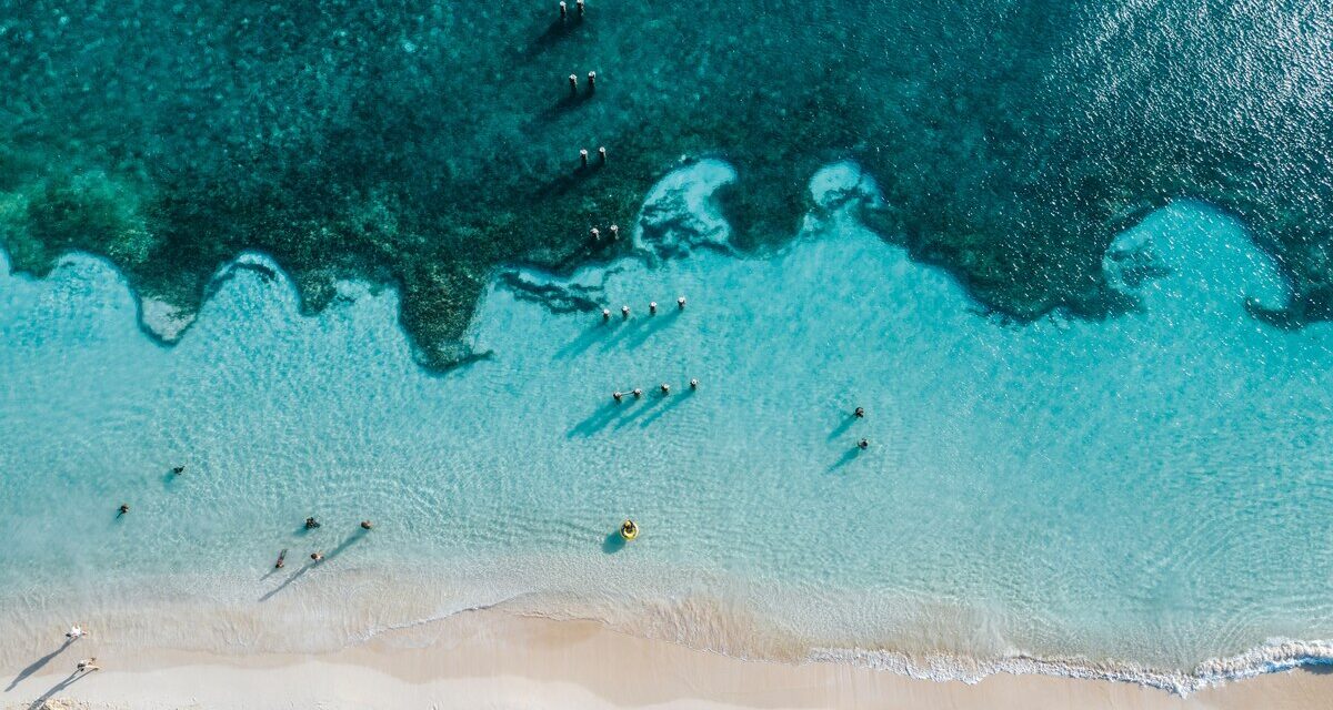 What to eat in Aruba, the Caribbean island where wahoo is king