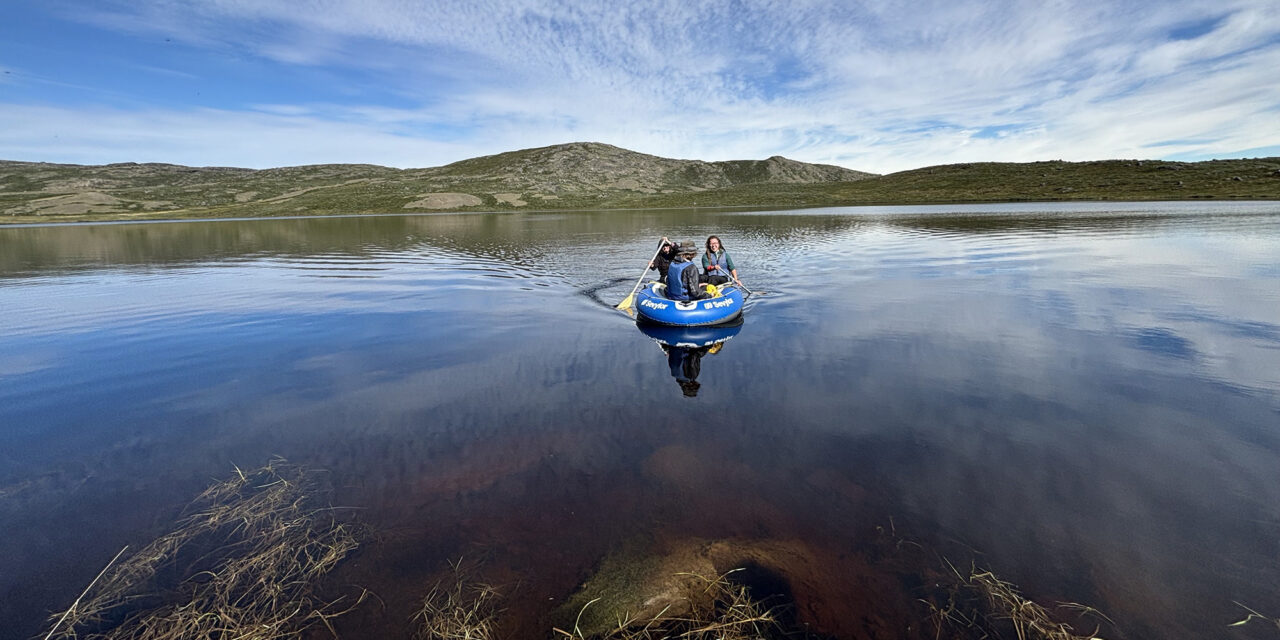 Greenland’s lakes are getting uglier—and fast