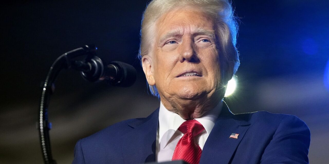 Donald Trump appeals to overturn his conviction in hush money case