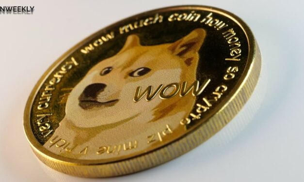 Dogecoin Price Analysis Will a Sharp Correction Spark a Bullish Comeback