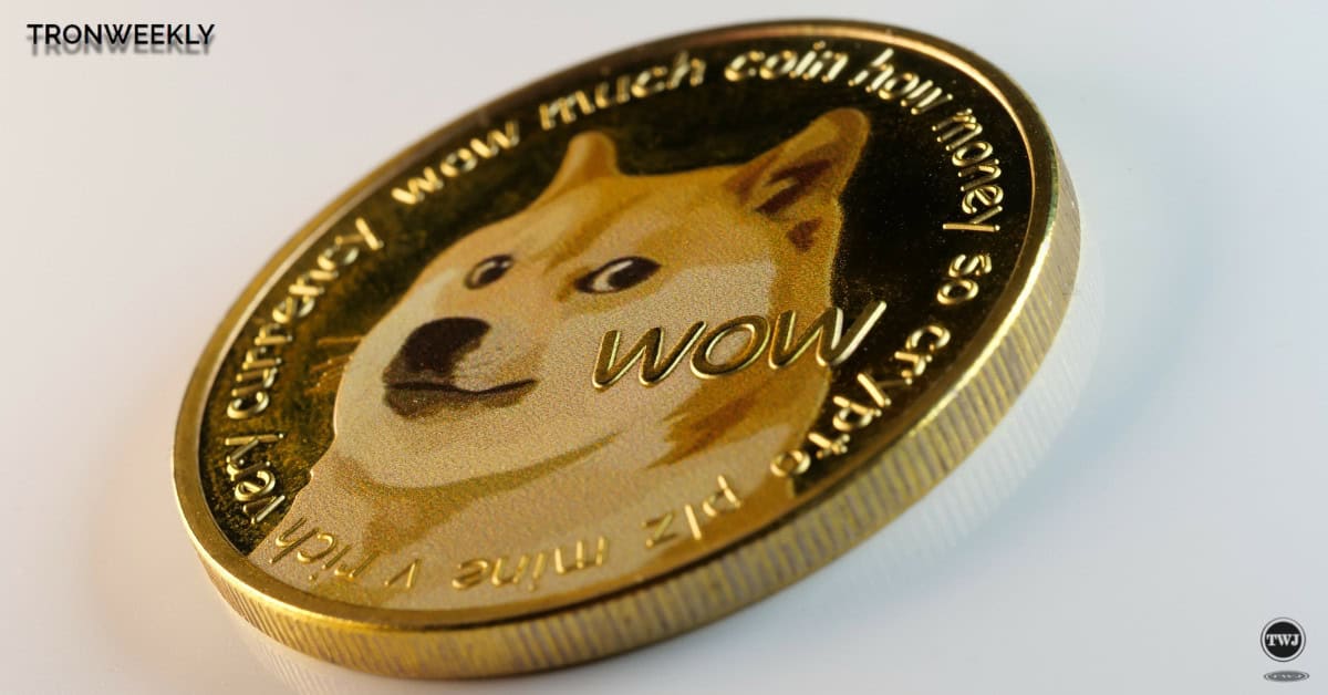 Dogecoin Price Analysis Will a Sharp Correction Spark a Bullish Comeback