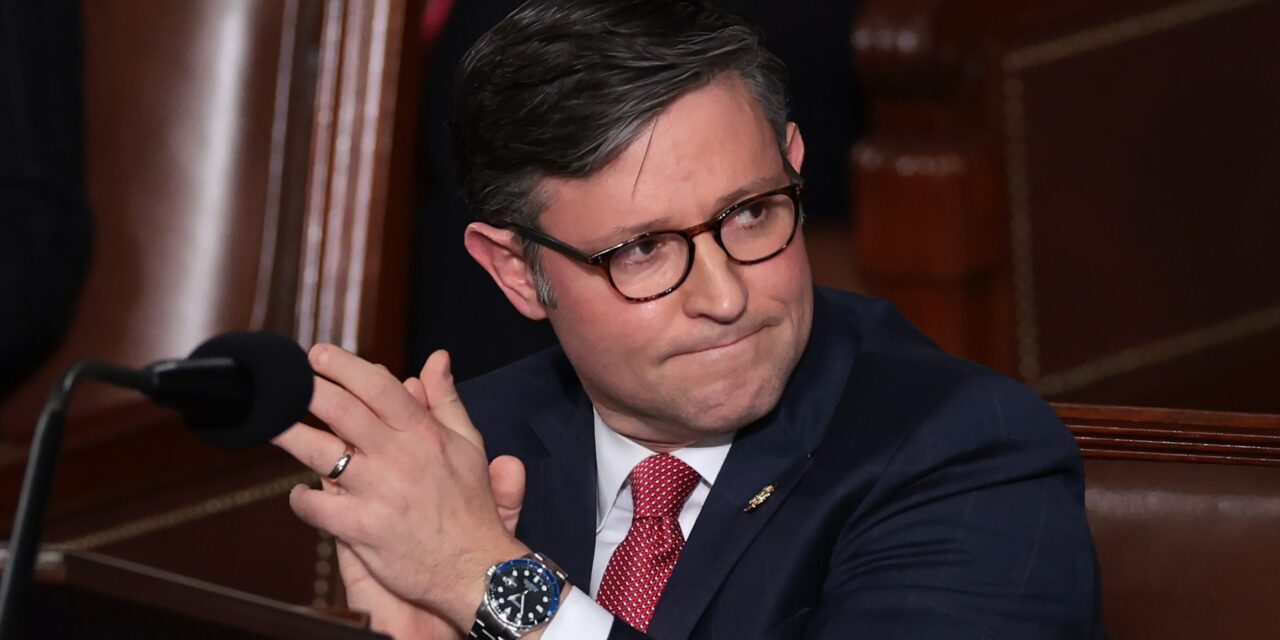Who Did Not Vote for Mike Johnson for Speaker of the House?