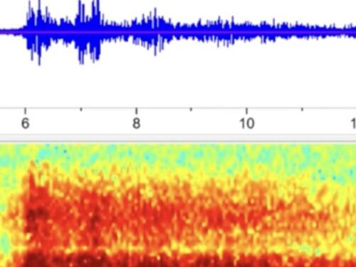 From 900 miles away, the US government recorded audio of the Titan sub implosion
