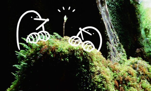 Kami spirits wander in Japan’s natural playgrounds