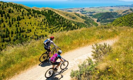 Bikepacking gear to get started in 2025