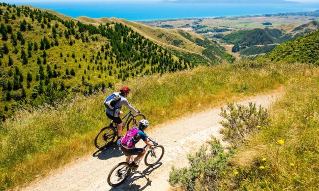 Bikepacking gear to get started in 2025