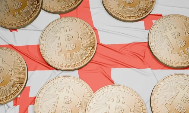 Aide to Former Georgian PM Flees Country Amid Bitcoin Embezzlement Case