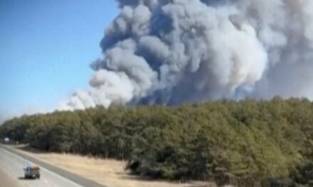 Wind-driven brush fire in New York 50% contained