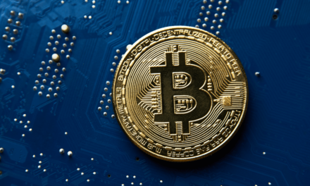VALR Founder: Bitcoin’s History of Value Appreciation Makes It an Ideal Treasury Asset