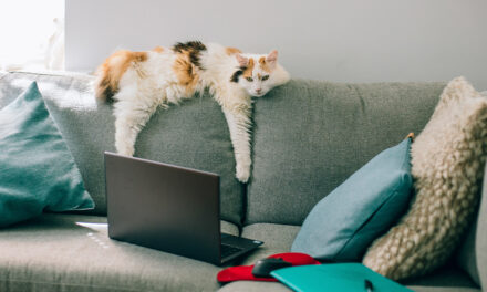 Research: When Boredom Drives Turnover on Your Team