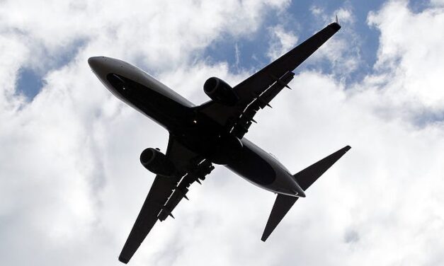 How Many Plane Crashes Happened in 2024? See Number
