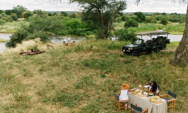 Why are so few African safaris Black-owned?