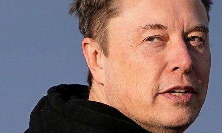 xAI, Elon Musk’s AI company, just purchased X, Elon Musk’s social media company