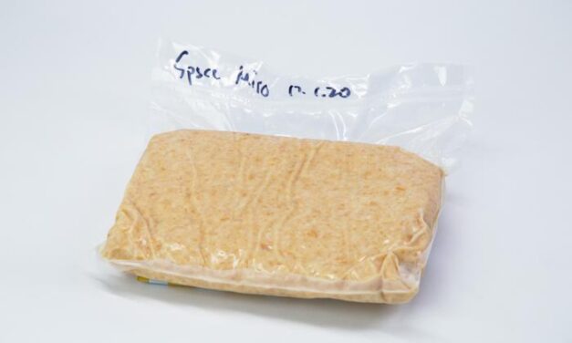 Researchers who made miso in space say it tastes good, but different