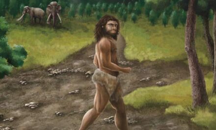 Pleistocene-Age Denisovan Fossil Found in Taiwan