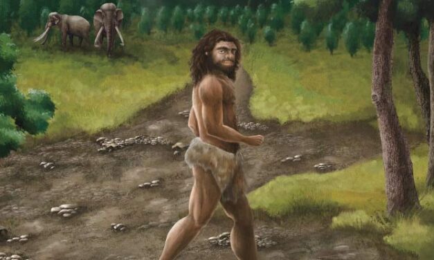 Pleistocene-Age Denisovan Fossil Found in Taiwan