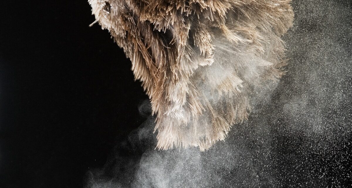 Dust isn’t just dirt—it’s full of ‘forever chemicals’ that can harm your health