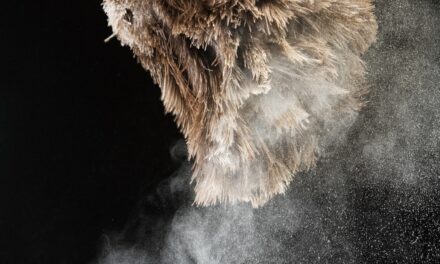 Dust isn’t just dirt—it’s full of ‘forever chemicals’ that can harm your health