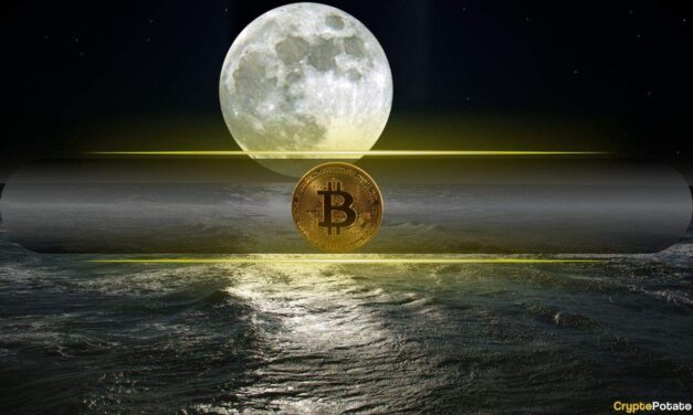 Bitwise CIO: Bitcoin Primed for Historic Rally After Market Turmoil