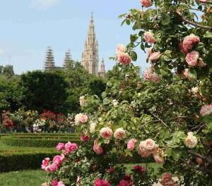 Vienna binds its 2040 climate neutrality goal to a law