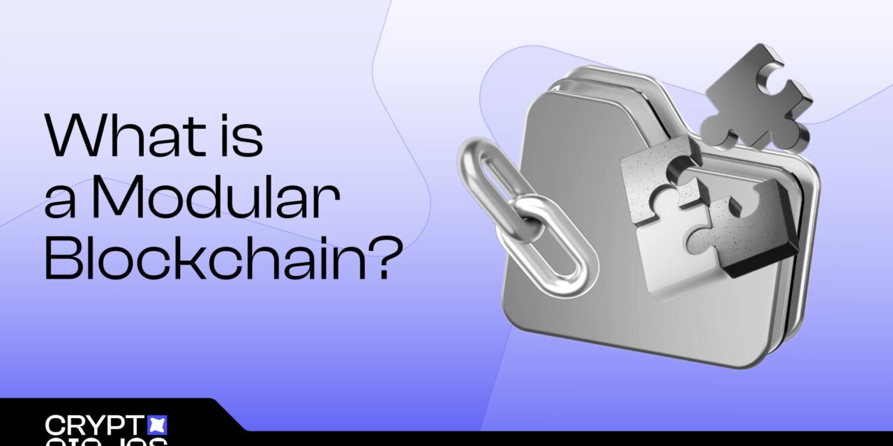 What is a Modular Blockchain?