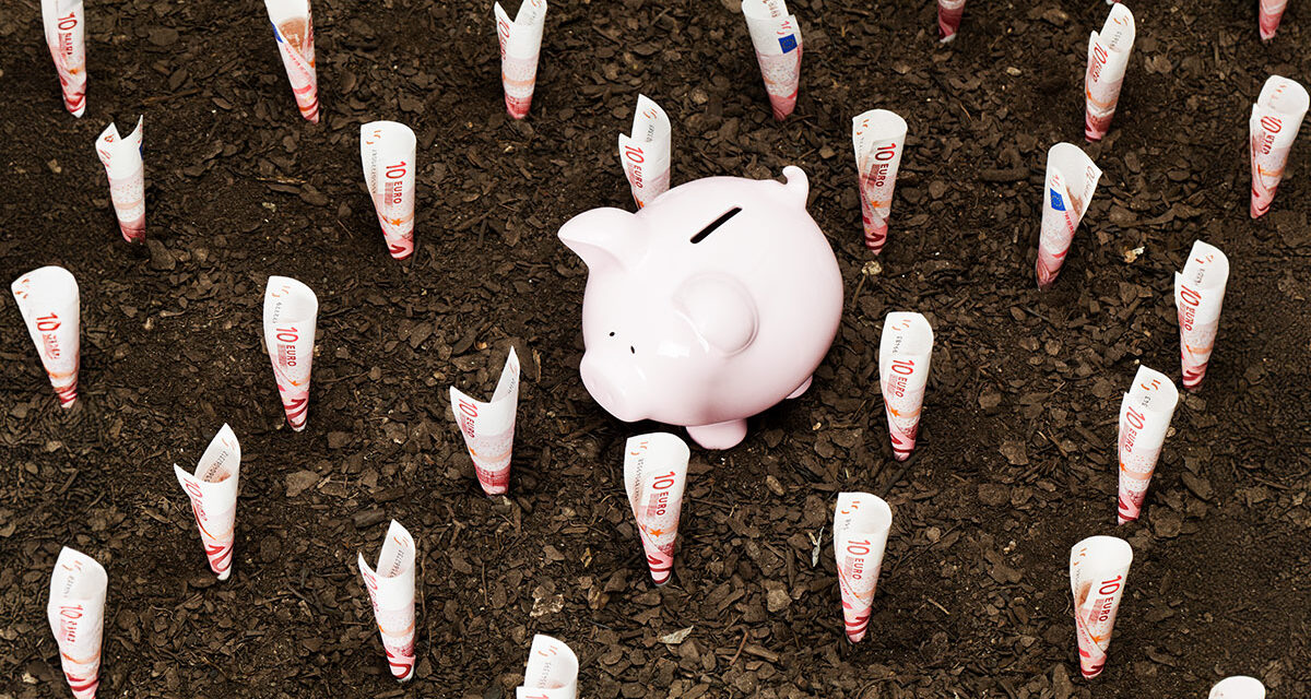 How VCs Can Create a Winning Investment Thesis