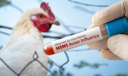 Is the world heading towards a bird flu pandemic?