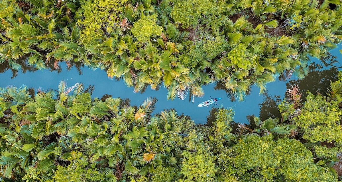 Are the world’s rivers dying? Robert Macfarlane looks for answers in his new book Is a River Alive?