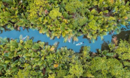 Are the world’s rivers dying? Robert Macfarlane looks for answers in his new book Is a River Alive?