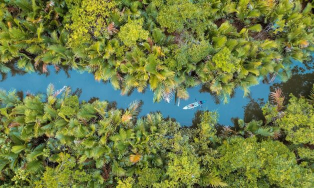 Are the world’s rivers dying? Robert Macfarlane looks for answers in his new book Is a River Alive?