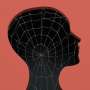 How does consciousness work? Dueling scientists test two big theories but find no winner