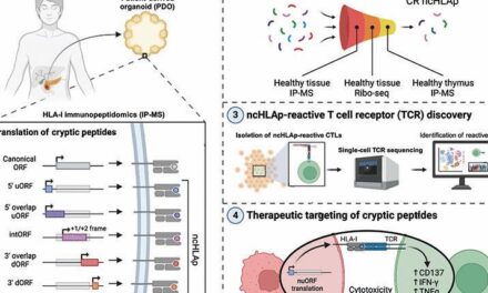 Pancreatic cancer–restricted cryptic antigens are targets for T cell recognition | Science