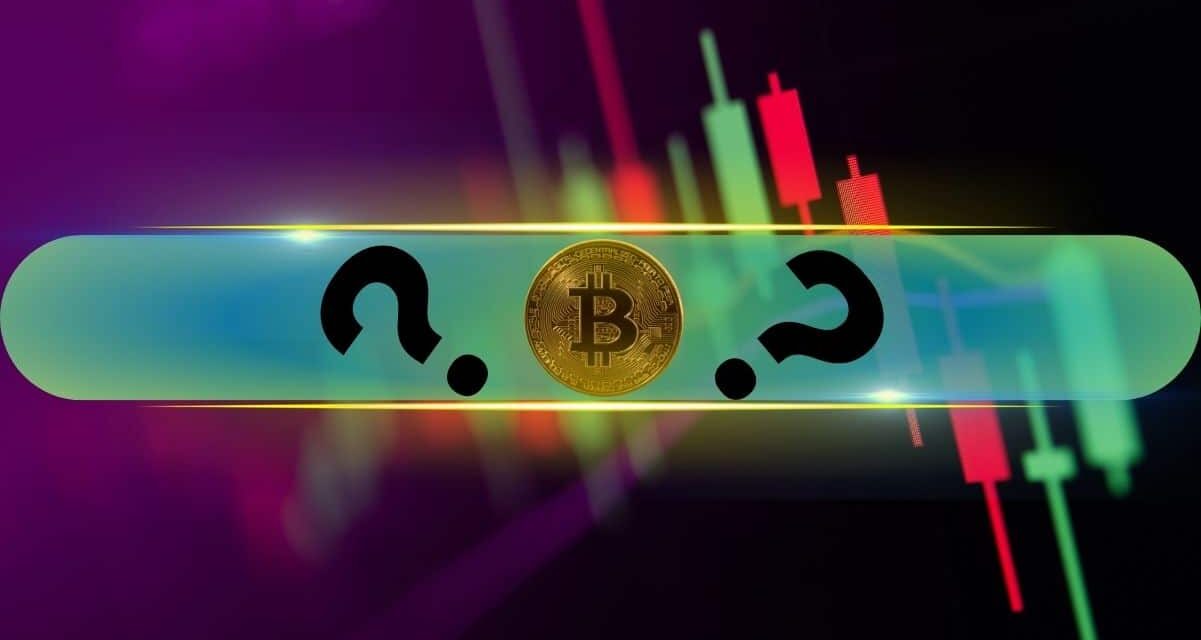 PI and These Altcoins Surge the Most as Bitcoin (BTC) Neared $106K (Market Watch)