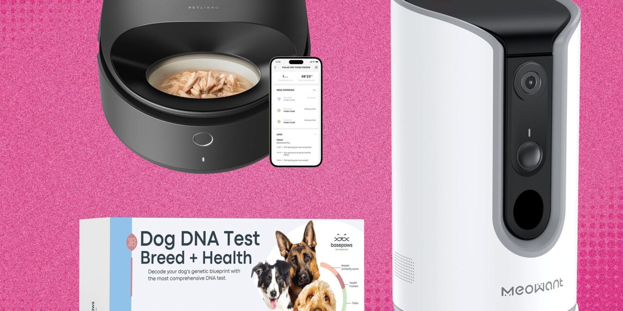 The 24 Best Amazon Pet Day Deals (2025)