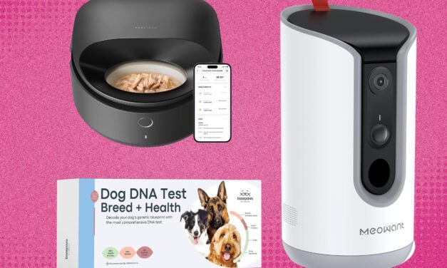 The 24 Best Amazon Pet Day Deals (2025)