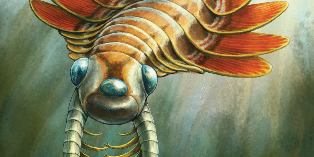 Ancient three-eyed ‘sea moth’ used its butt to breathe