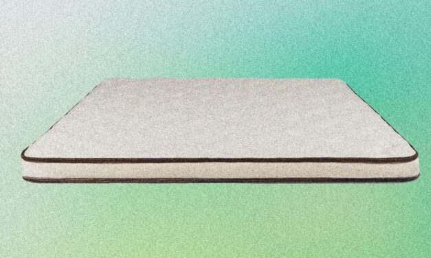 The 11 Best Mattress Toppers We’ve Slept On (2025)