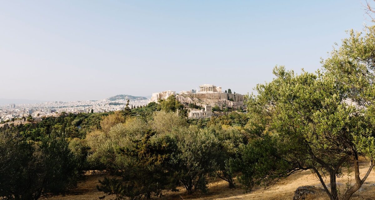 Olive oil tourism is taking off in Greece. Here’s where to taste it.