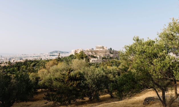 Olive oil tourism is taking off in Greece. Here’s where to taste it.