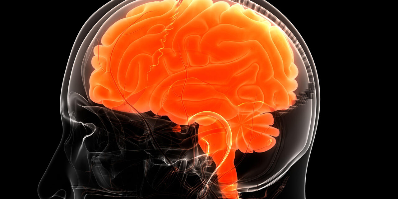 Traumatic Brain Injury Assessment Gets an Overhaul