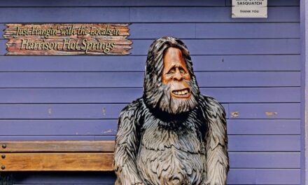 Is Sasquatch real? Many residents of Harrison Hot Springs would say yes
