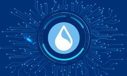 Cetus Protocol’s $223 Million Hack Puts Sui’s Decentralization in the Spotlight