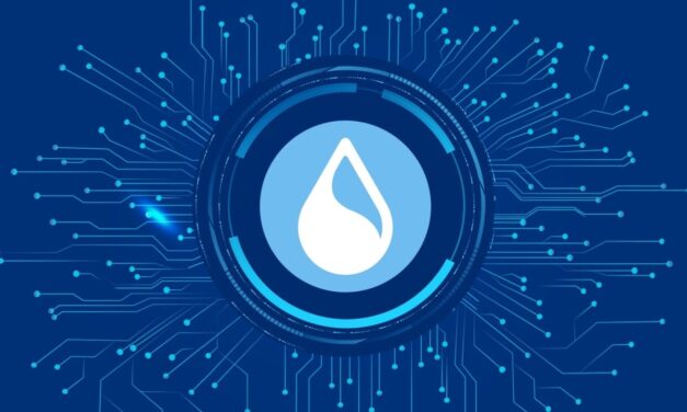 Cetus Protocol’s $223 Million Hack Puts Sui’s Decentralization in the Spotlight